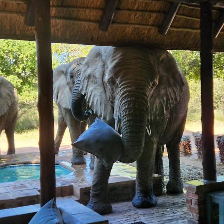 Twiga Lodge Mabalingwe بيلا-بيلا المظهر الخارجي الصورة