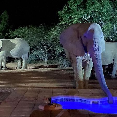 Twiga Lodge Mabalingwe بيلا-بيلا المظهر الخارجي الصورة
