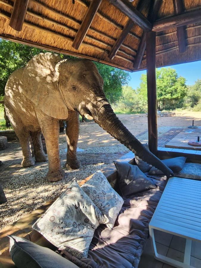 Twiga Lodge Mabalingwe بيلا-بيلا المظهر الخارجي الصورة