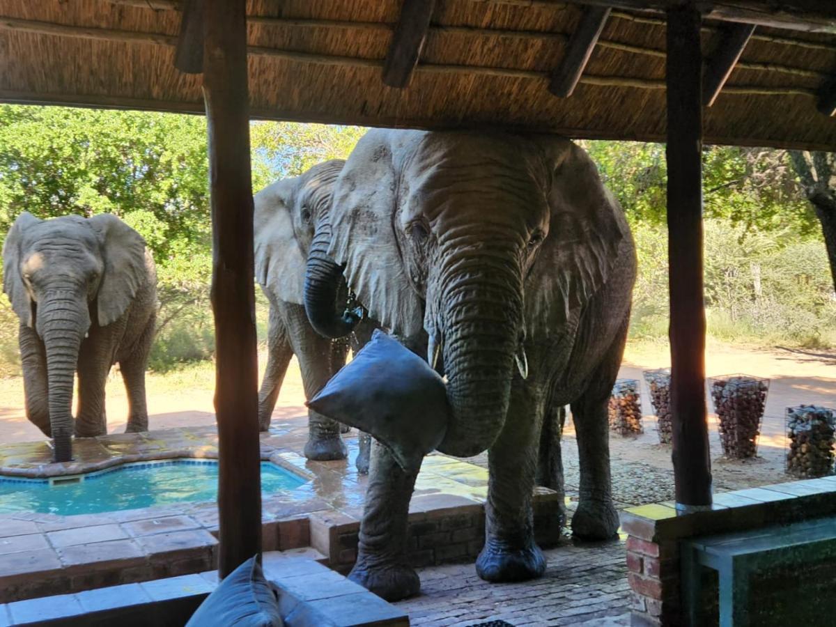 Twiga Lodge Mabalingwe بيلا-بيلا المظهر الخارجي الصورة