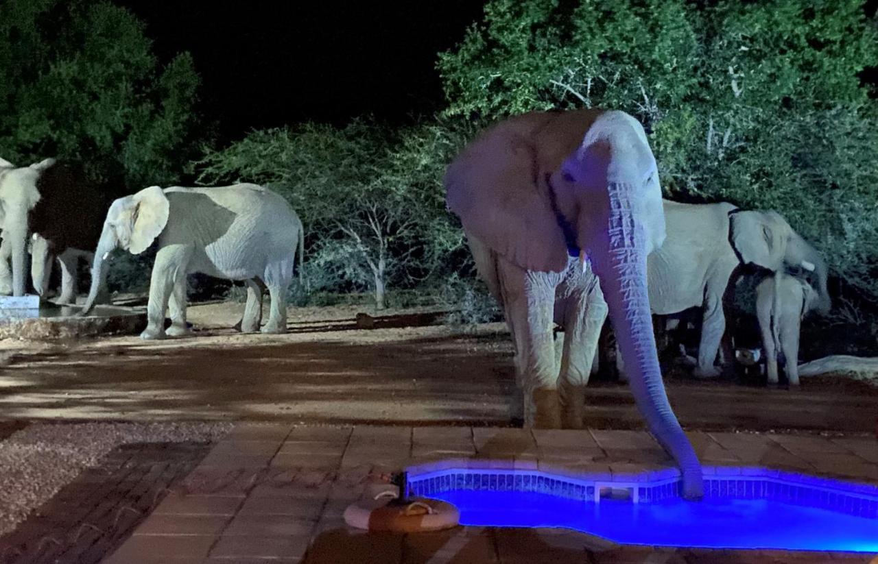 Twiga Lodge Mabalingwe بيلا-بيلا المظهر الخارجي الصورة